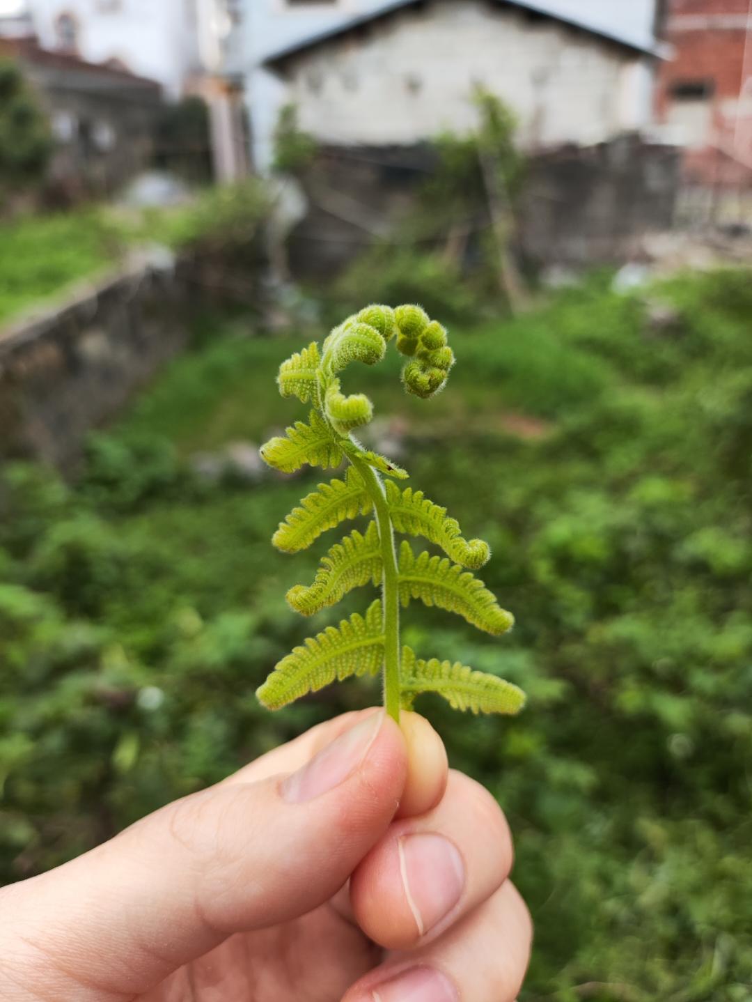 明月0909的厨房