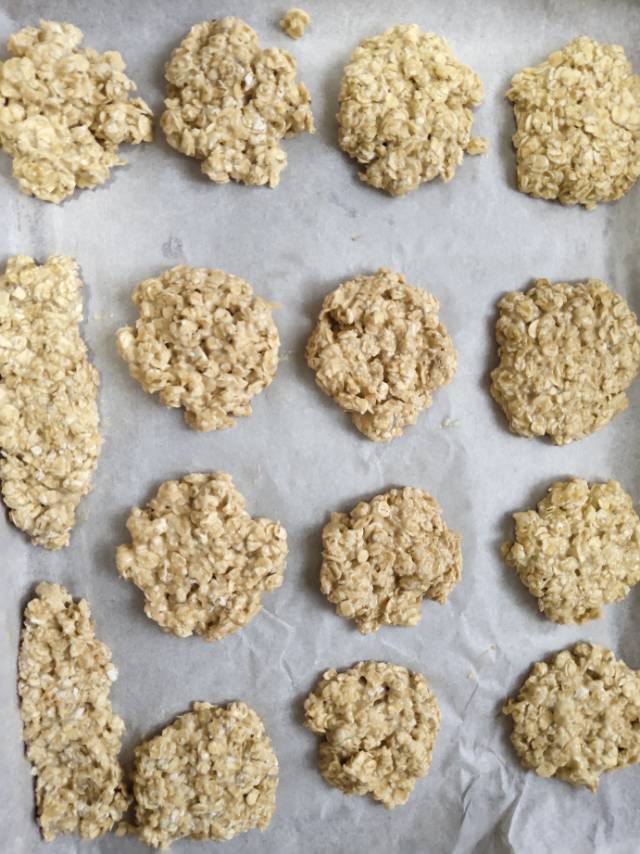 无糖低油燕麦饼干（适合糖尿病人）