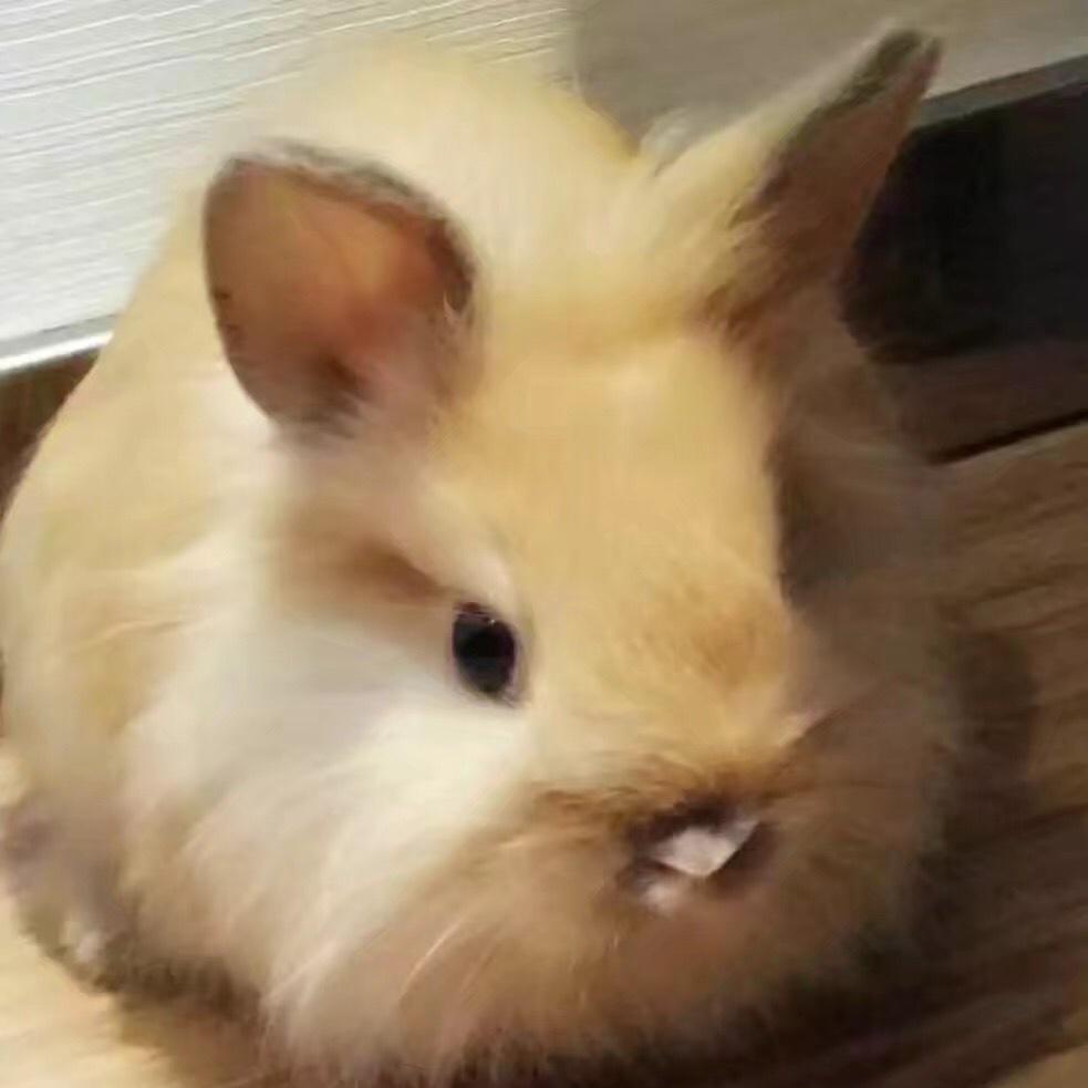 天之予
