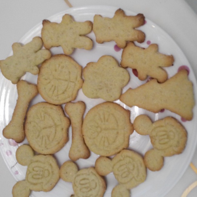 抱杏仁的小熊（造型饼干）