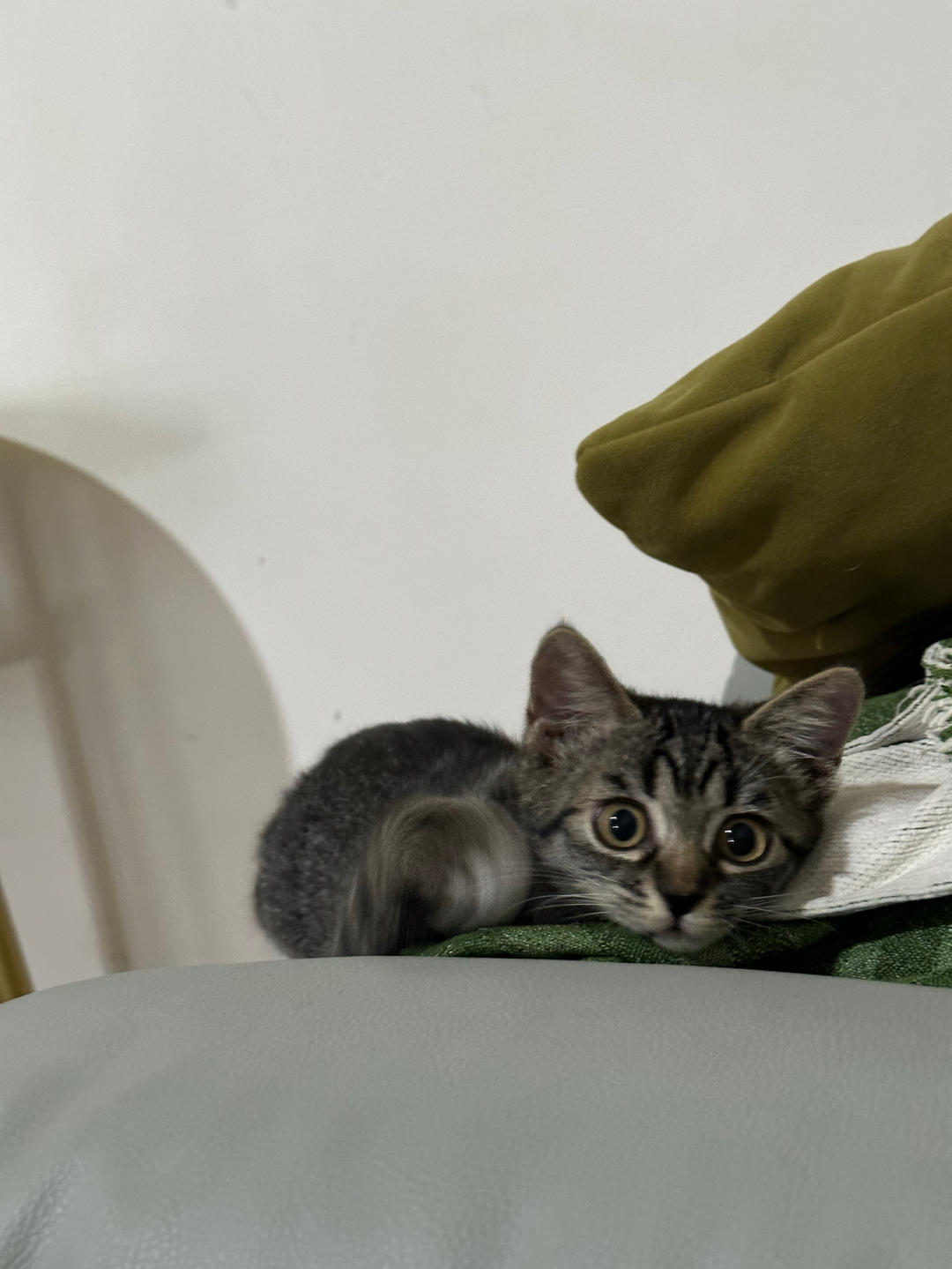 ysj艺术家要睡觉