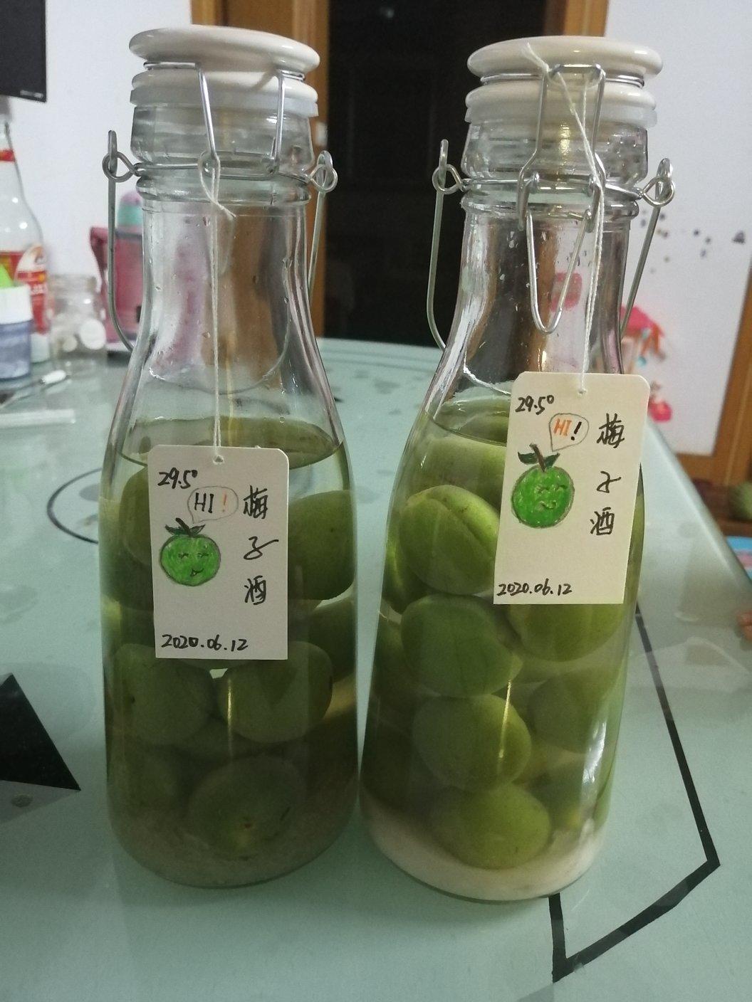 青梅酒（优的春日私酿第二話）