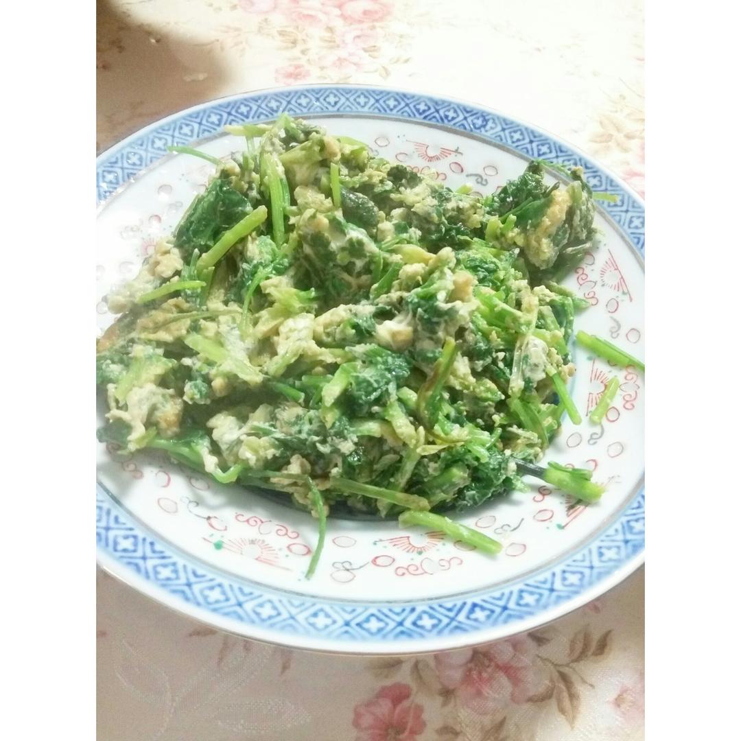 香菜炒鸡蛋