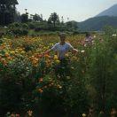 手机用户6199_f92t