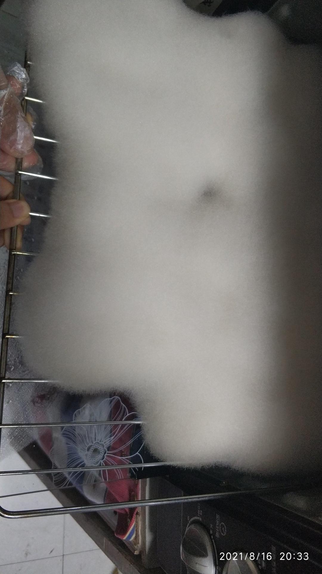 毛豆腐（狐狸一样的毛）