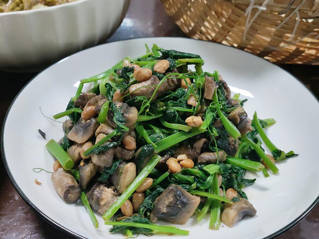 吃春菜·豌豆苗炒口蘑纳豆