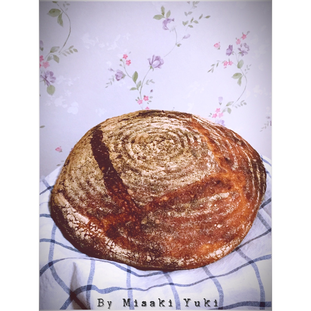 【Tartine Bread】天然酵种基础乡村欧包