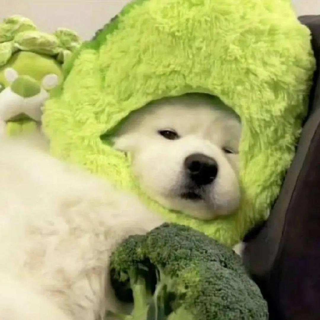 做菜修勾不做菜狗