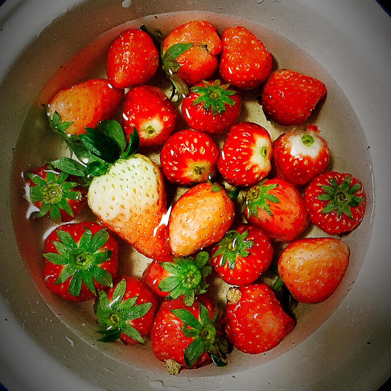 今冬第一颗草莓