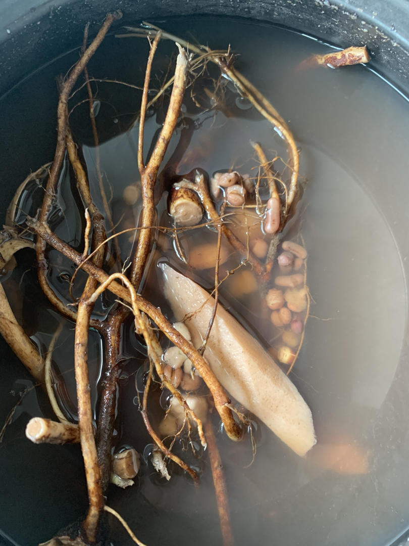 五指毛桃茯苓去湿汤（二）