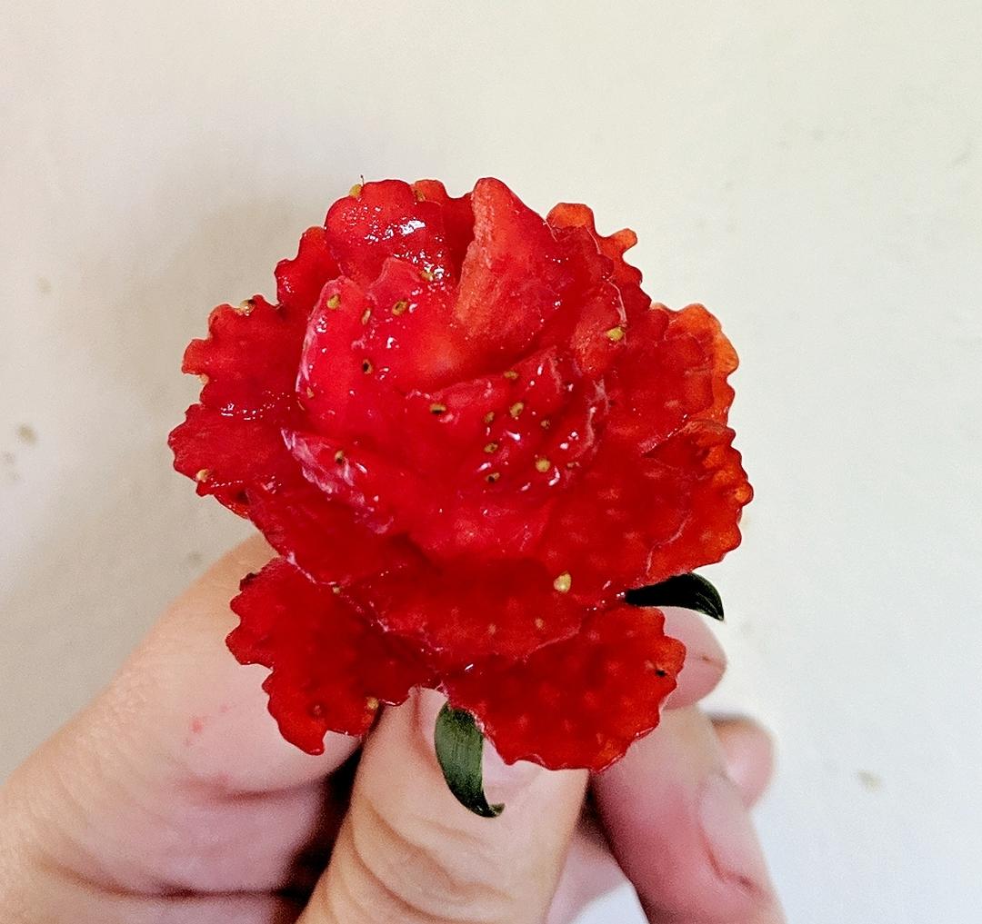情人草莓玫瑰花的做法
