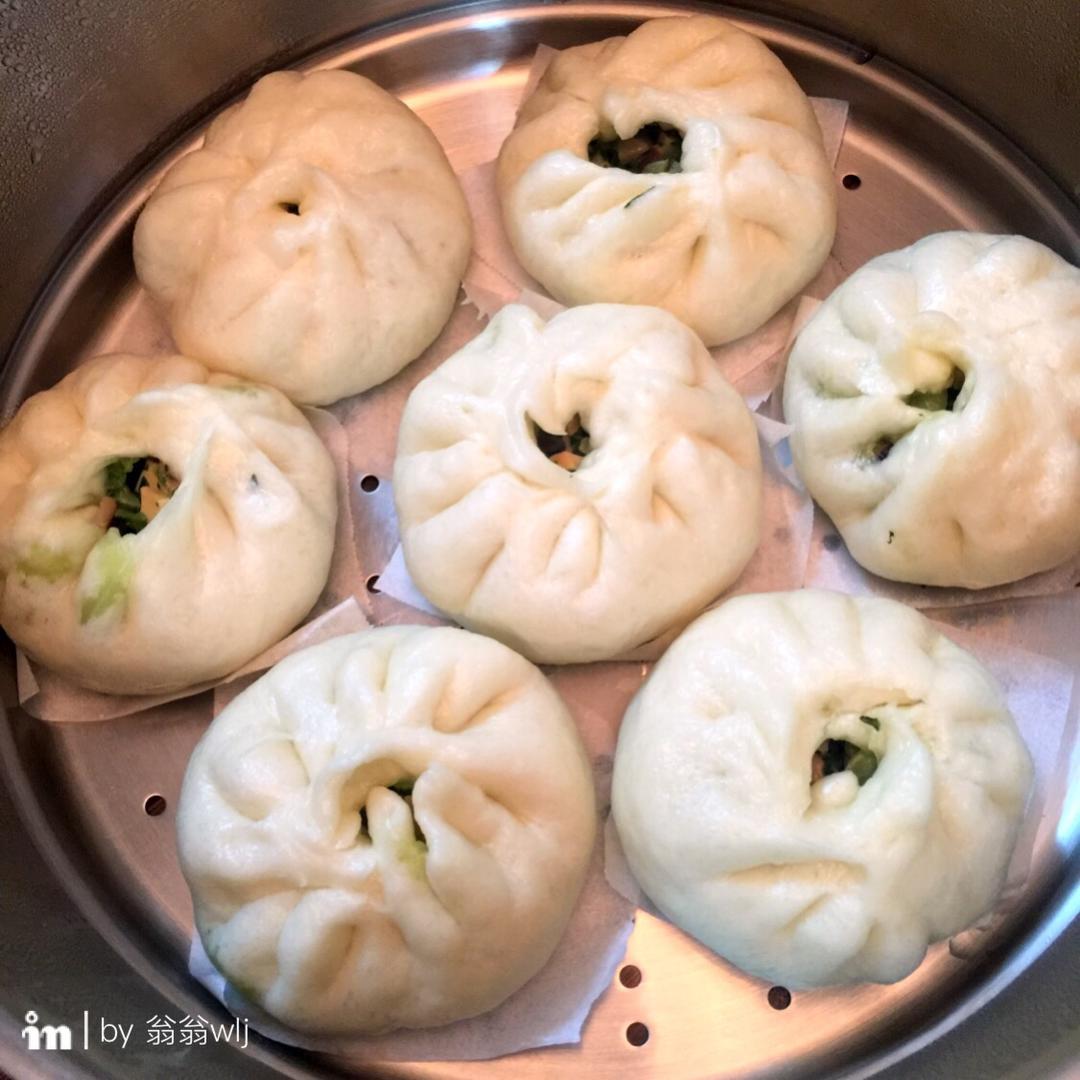 节省一半时间的大包子（另付翠绿菜包子，肉包子，腹黑包子食谱）