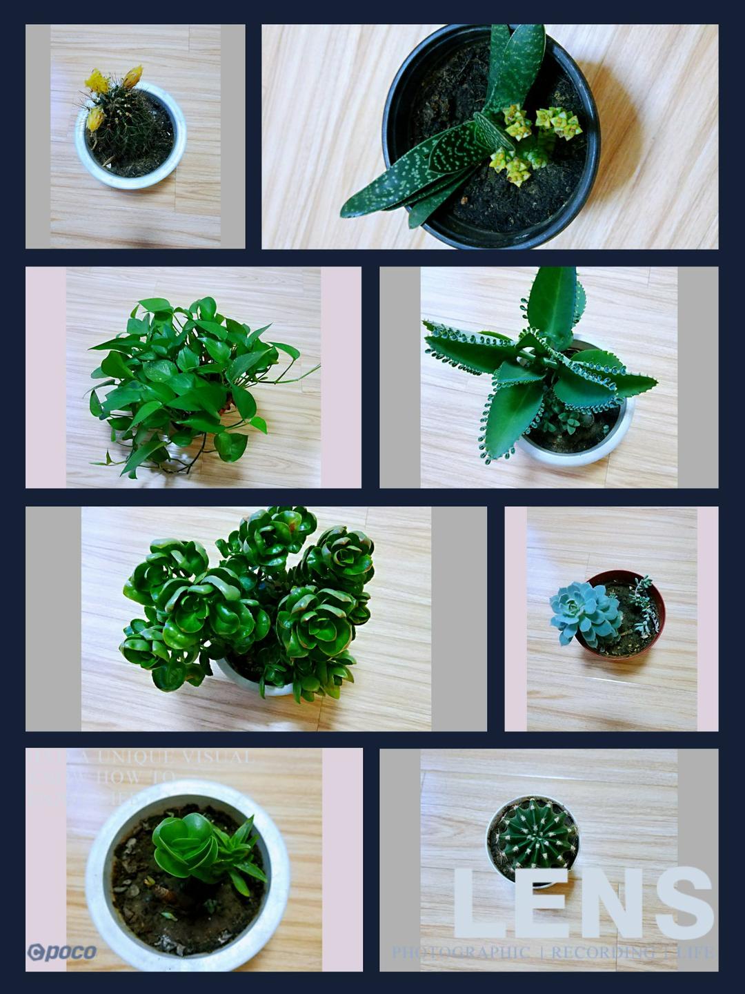 休闲时刻