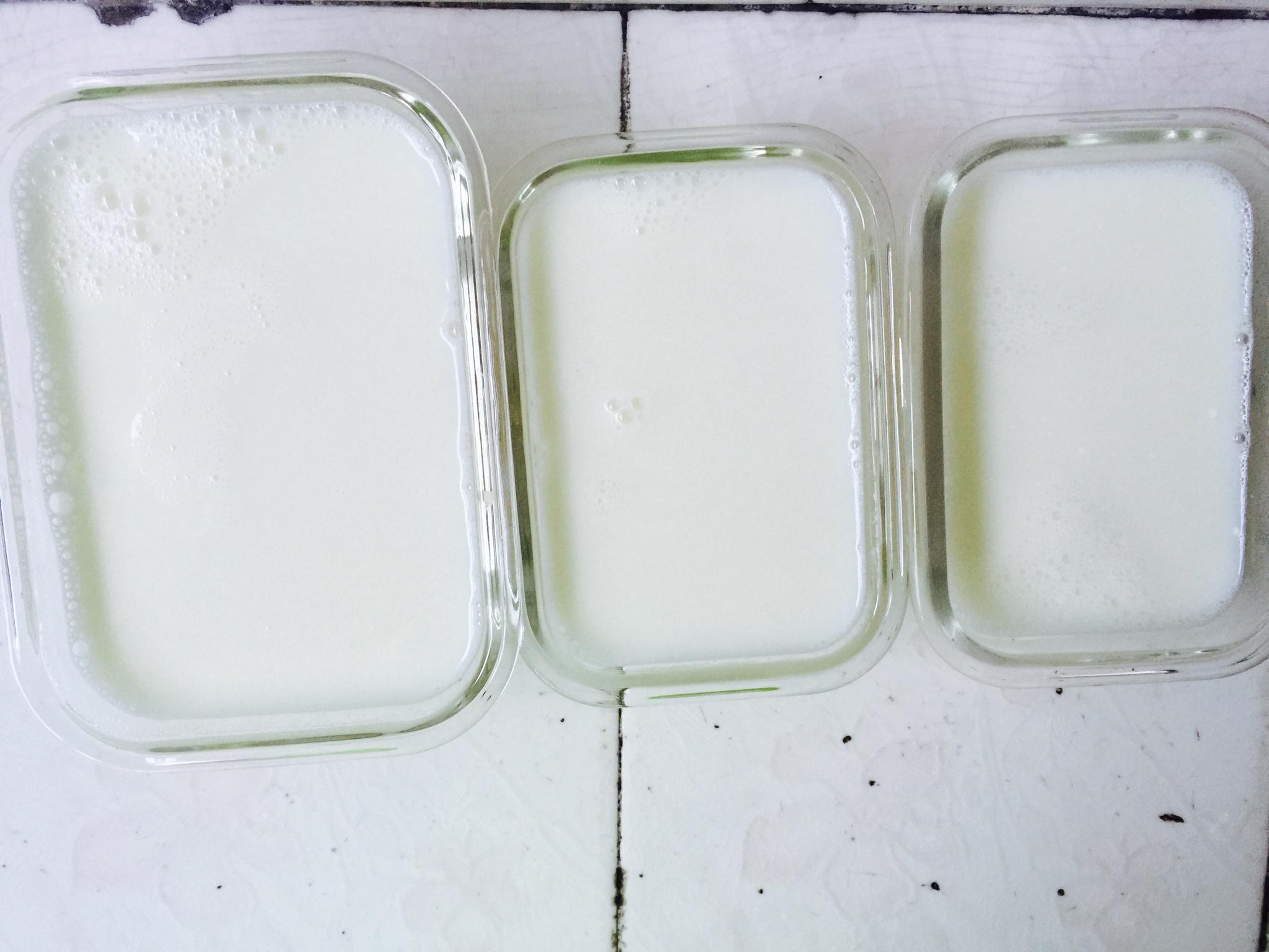 杏仁豆腐－豆浆机的做法 步骤6