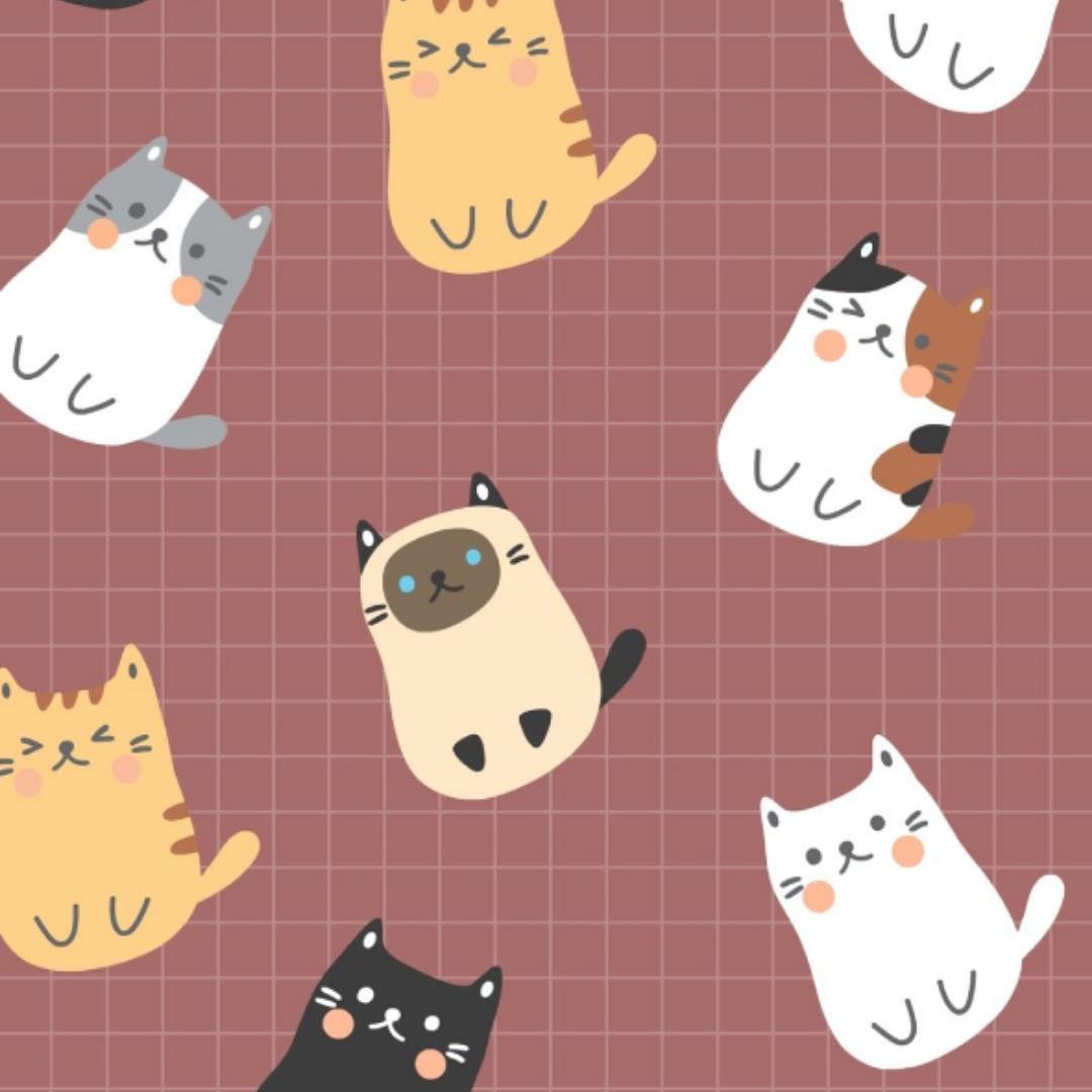 爱做饭的棒小伙