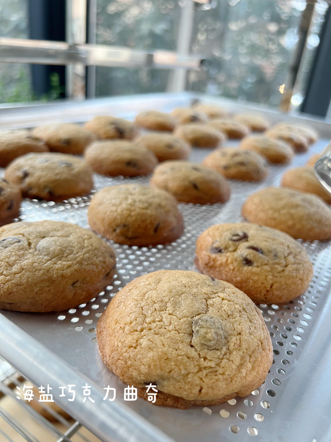 香草海盐巧克力大曲奇