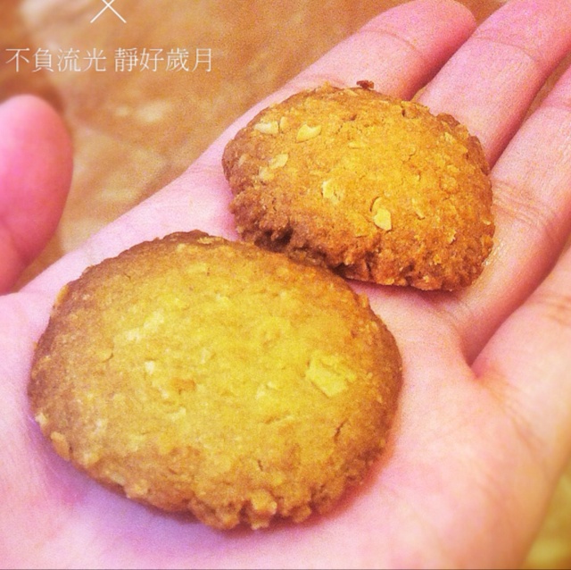 燕麦饼干