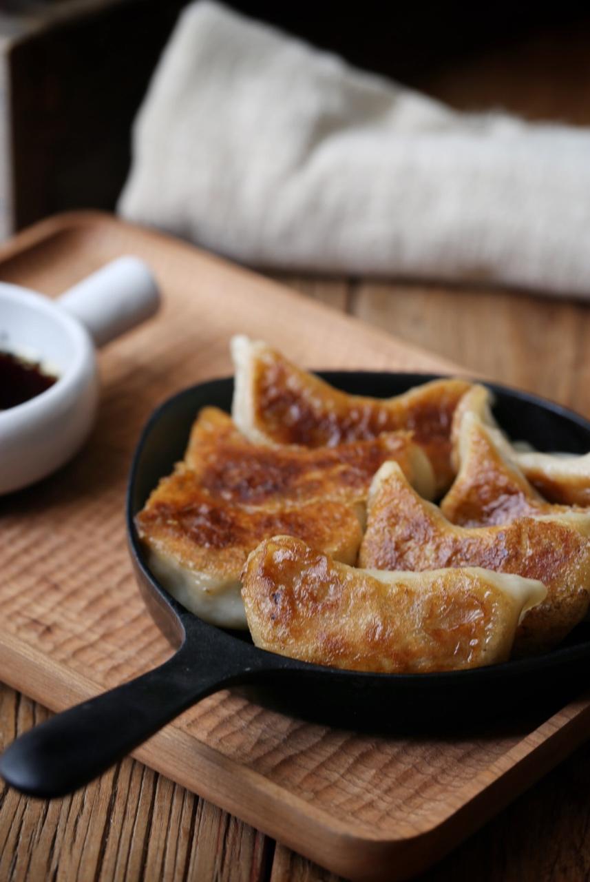 赵赵fantasy做的三鲜锅贴frieddumplings