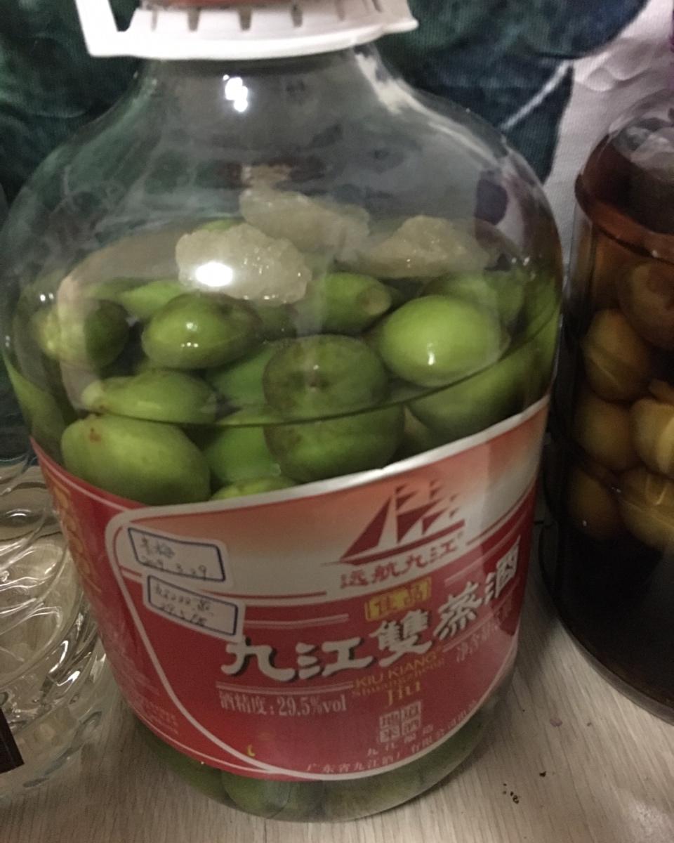 【青梅酒】梅子的沉醉时光（已填坑）