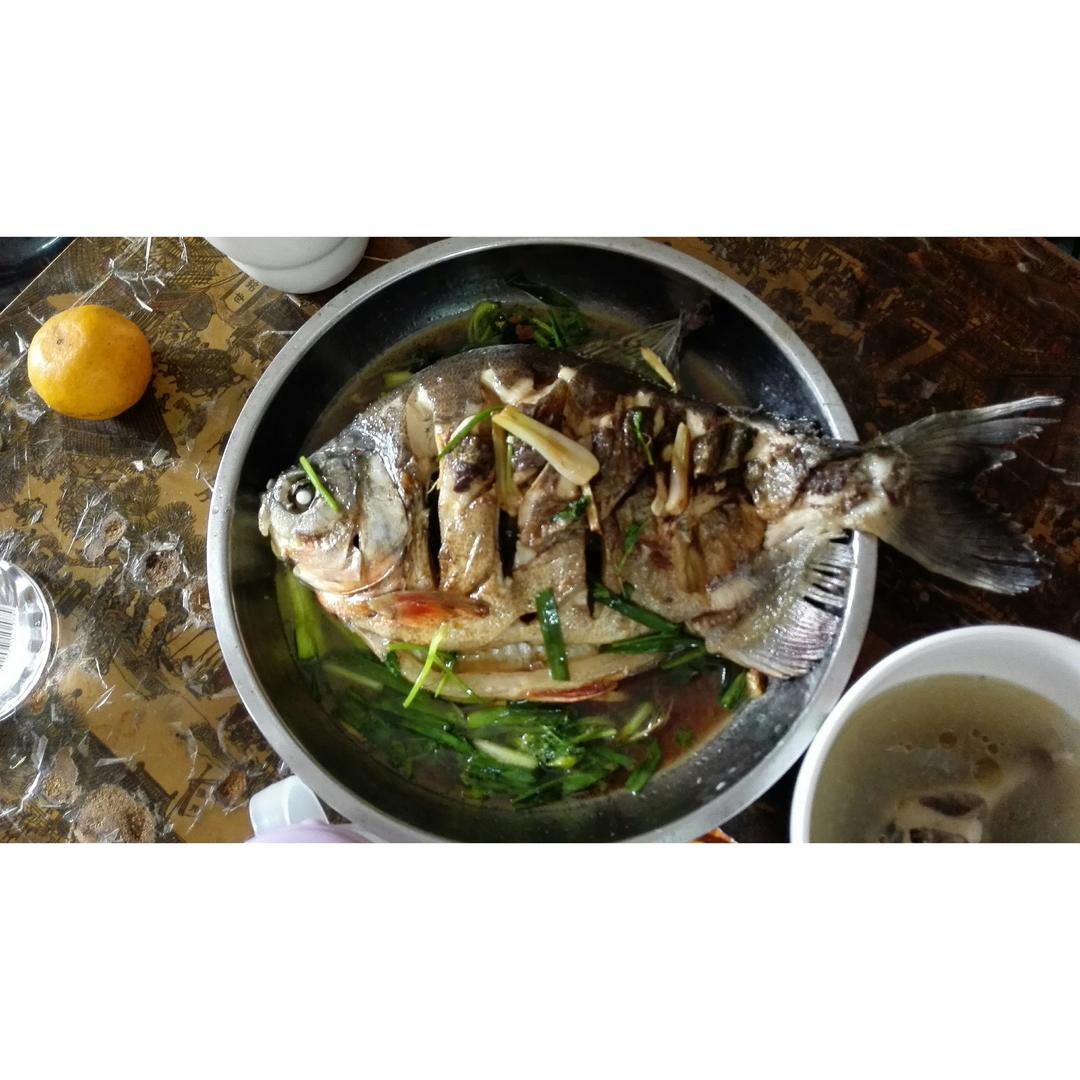 超入味清蒸鱼～清蒸鲈鱼桂花鱼（家常独创）