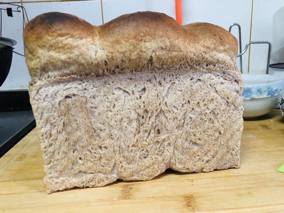 黑全麦波兰种吐司，这么柔软简直怀疑你是个假全麦！