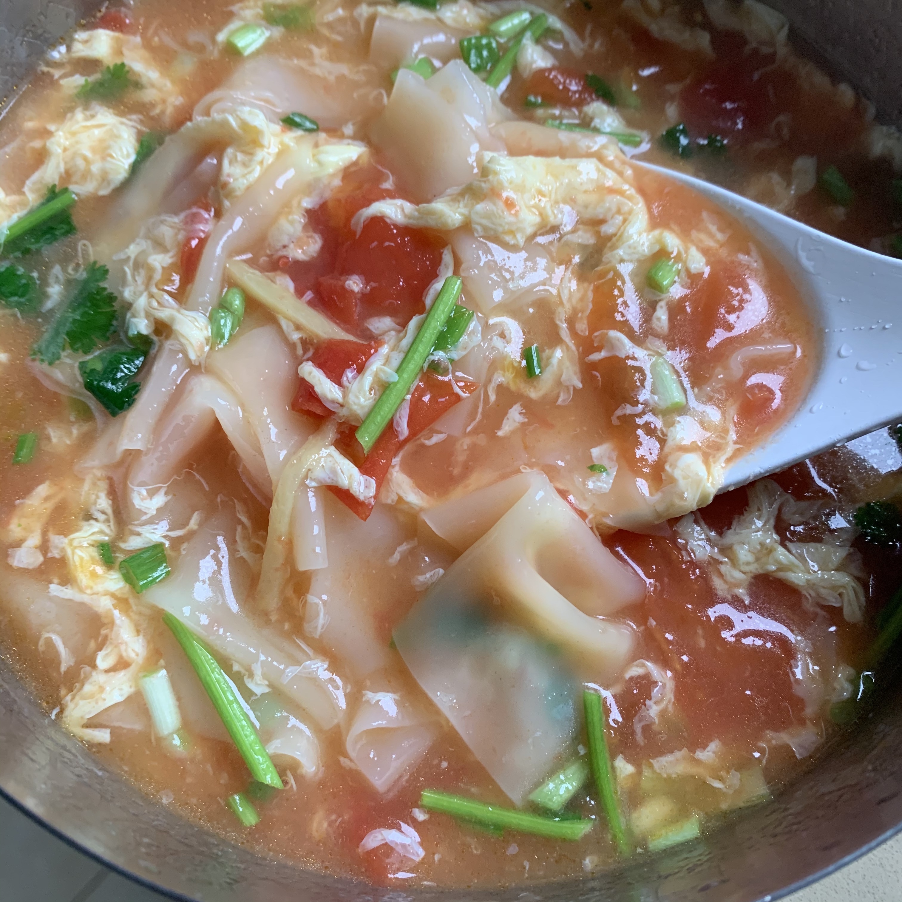 快手番茄鸡蛋面片汤(馄饨皮)的做法