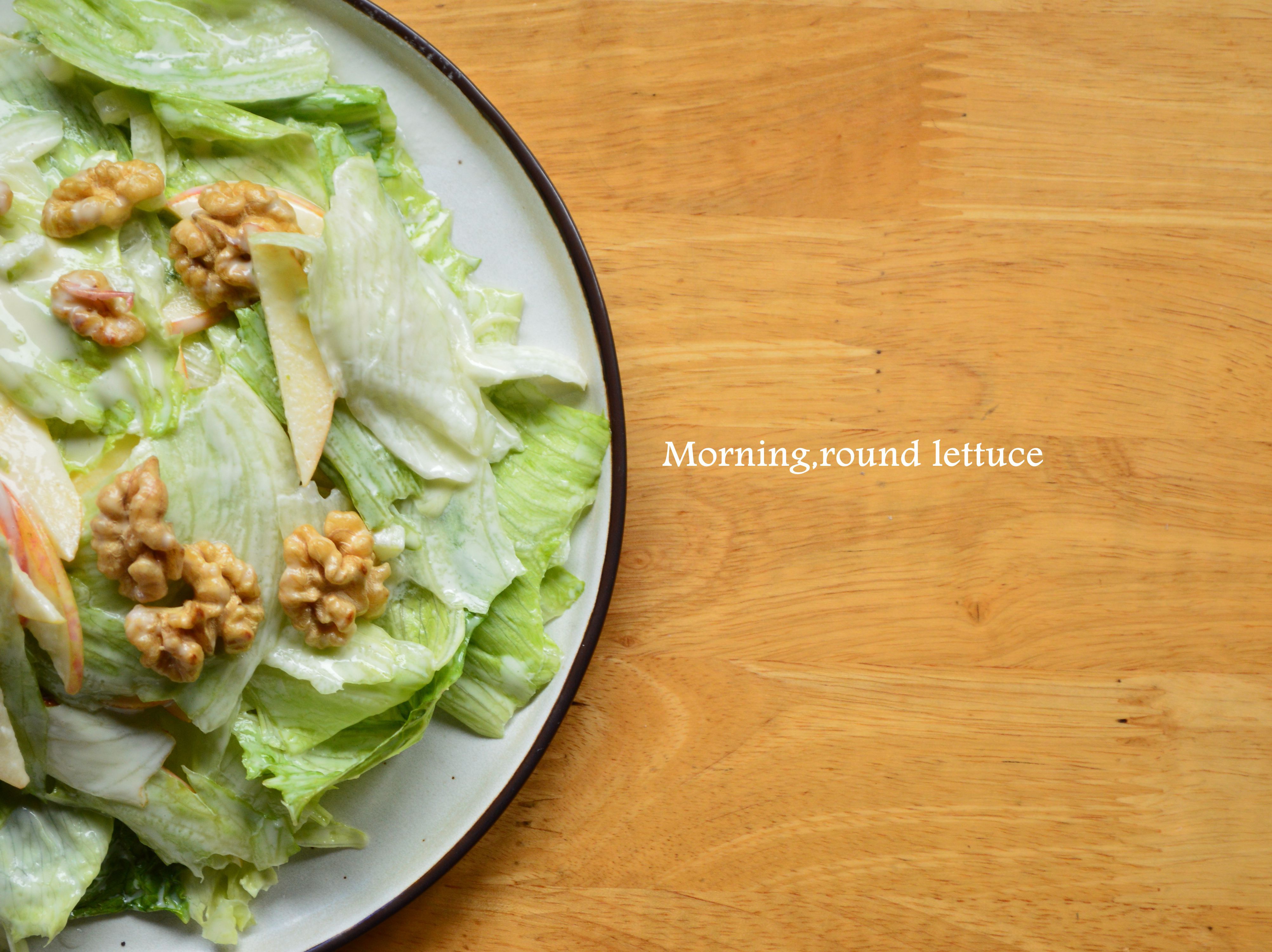 沃道夫沙拉+柠檬蛋黄酱沙拉酱