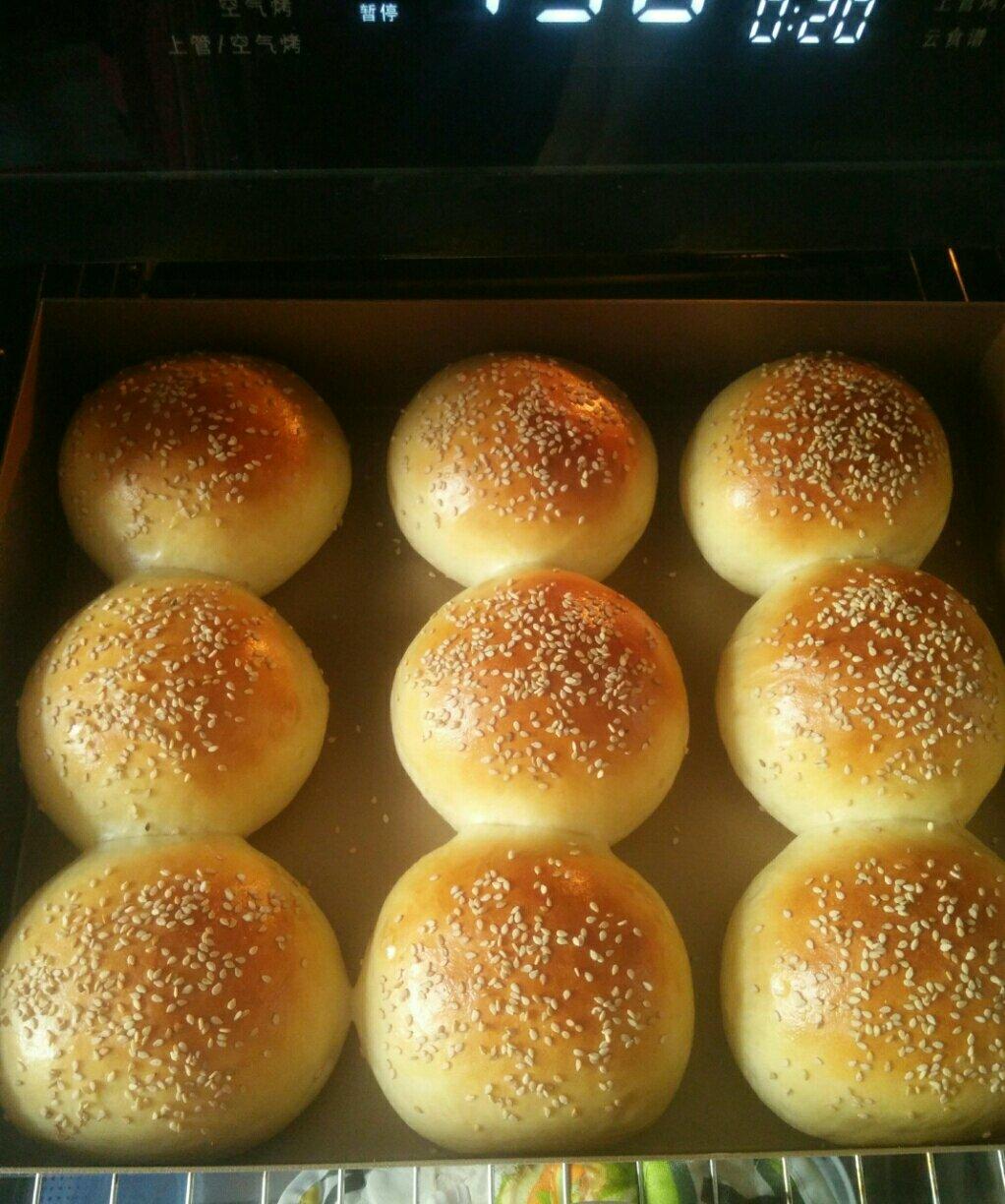 汉堡胚 poolish（波兰种）