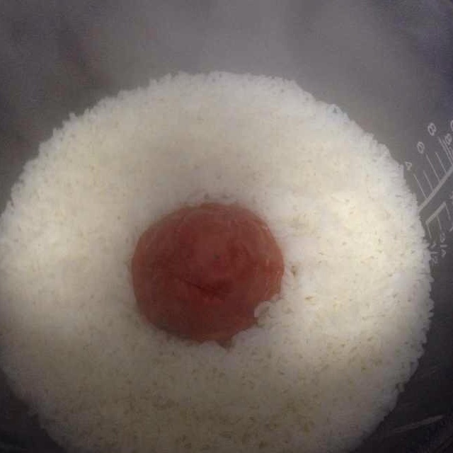 一整个西红柿饭~