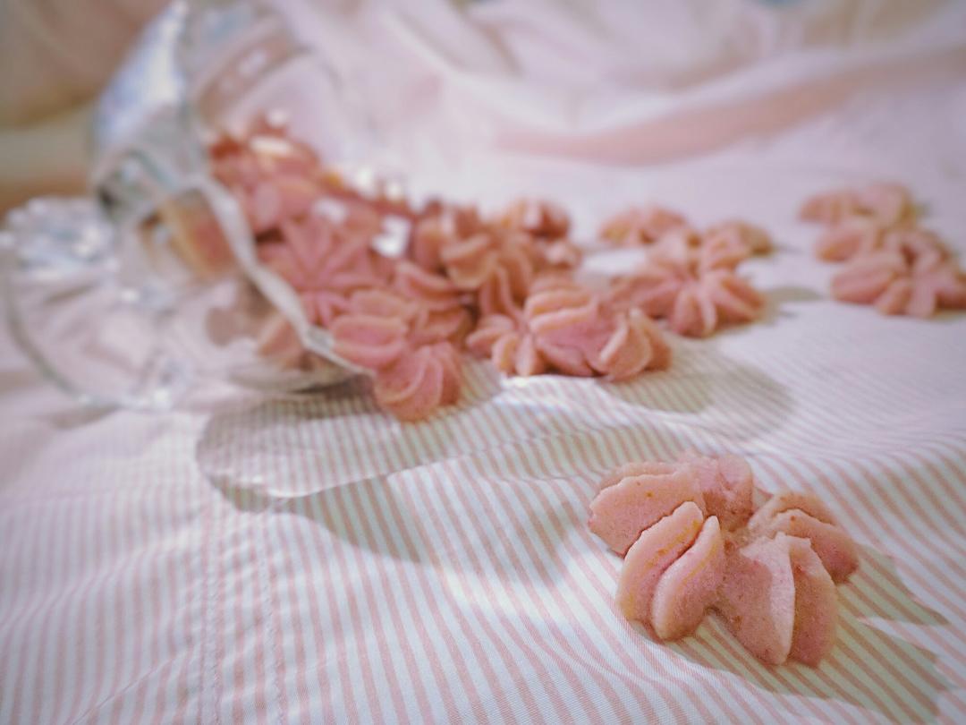 少女心粉樱花曲奇₍•͈˽•͈₎