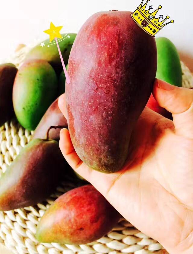 食物的本来面目