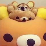 -请叫我淡定姐--