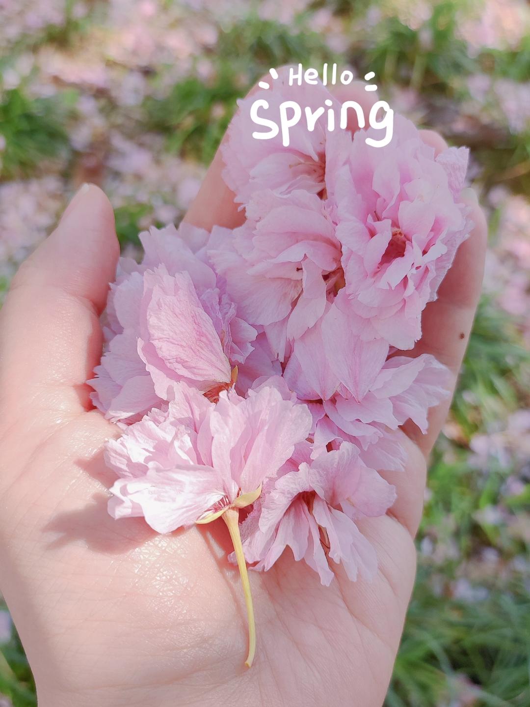 李大妈的清晨食堂