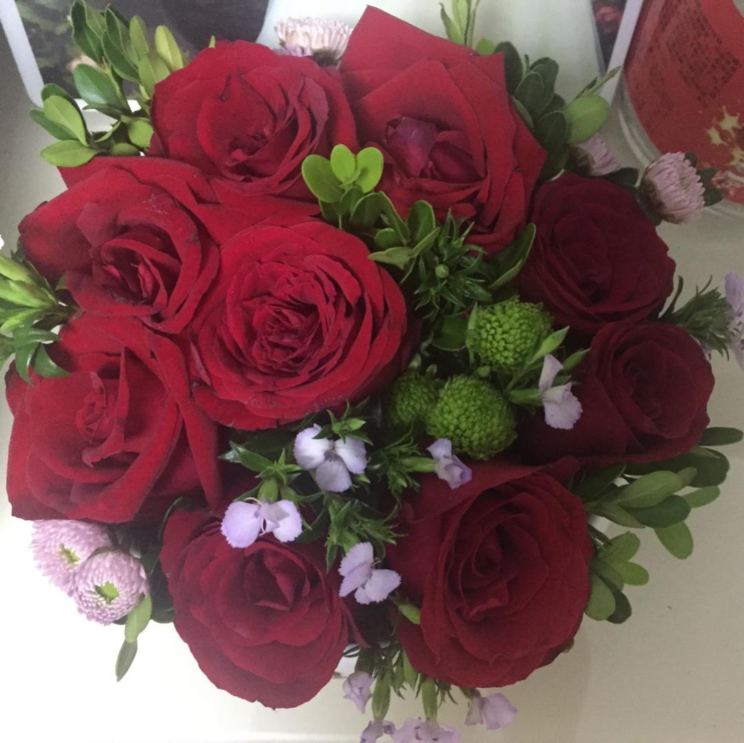 飞天少女猪_1zbp