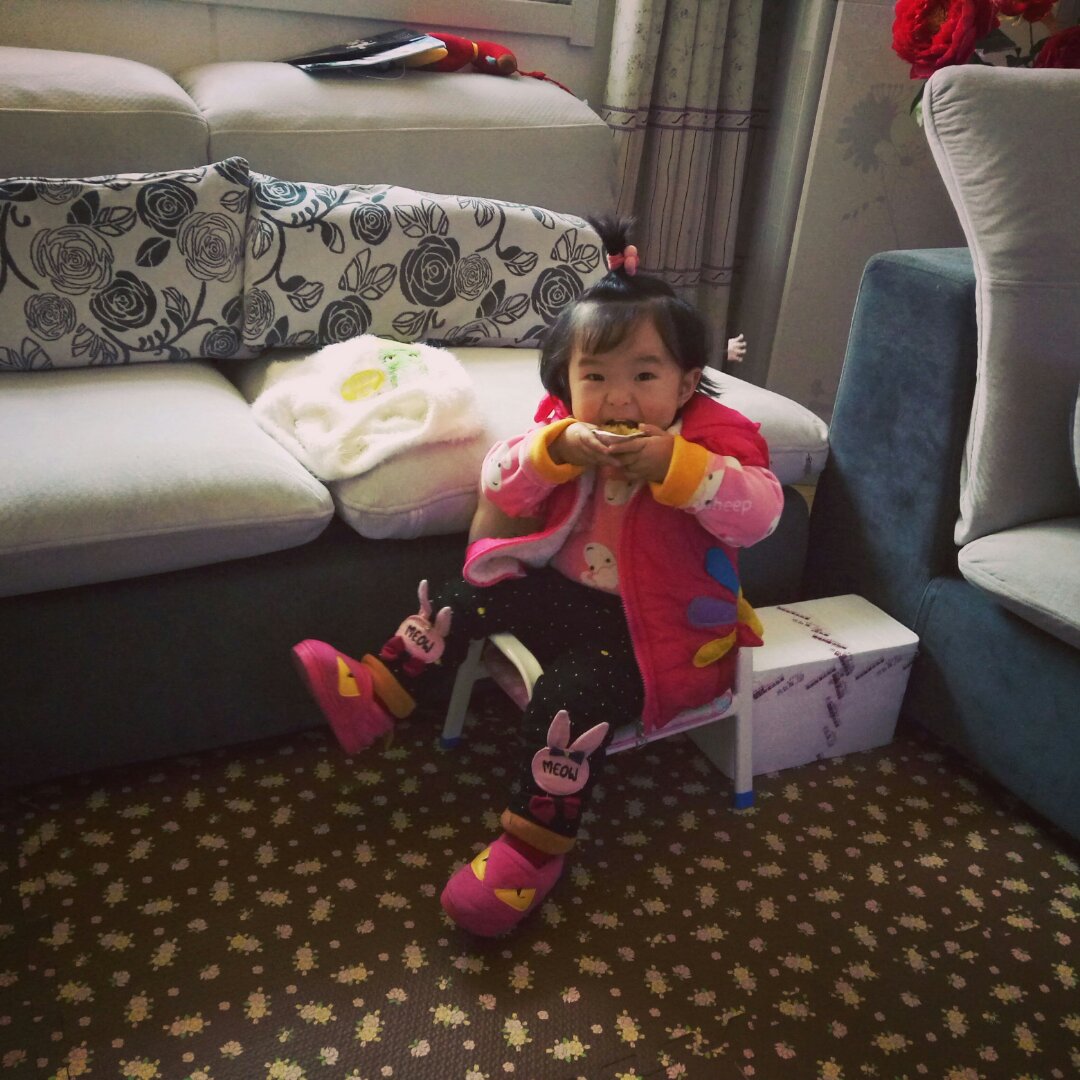 懒人版全蛋蛋挞