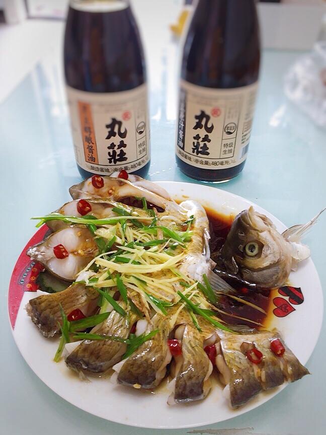 朋友圈点赞收割机【孔雀开屏鱼】