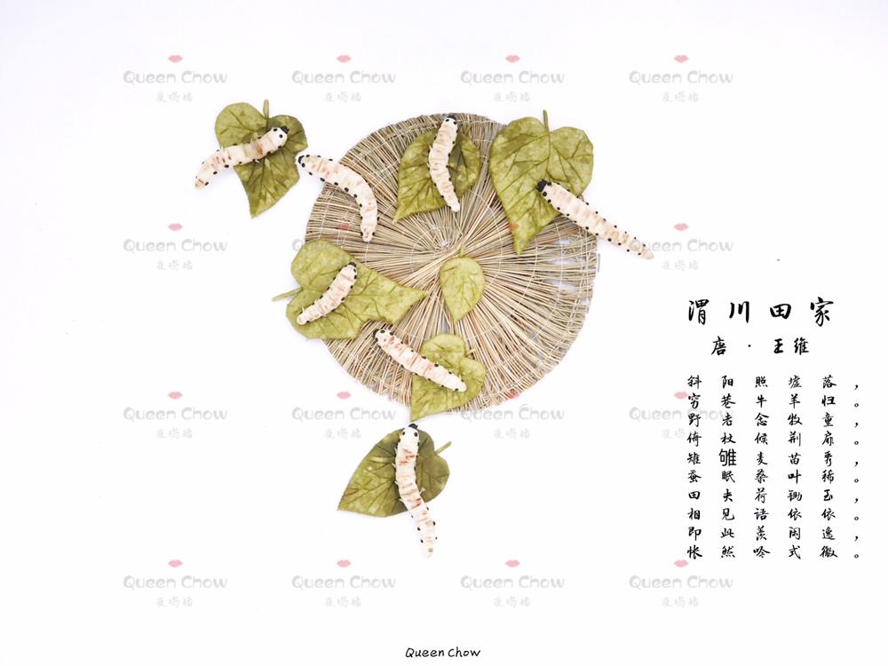 【创意卡通馒头】蚕宝宝，孰真？孰假？