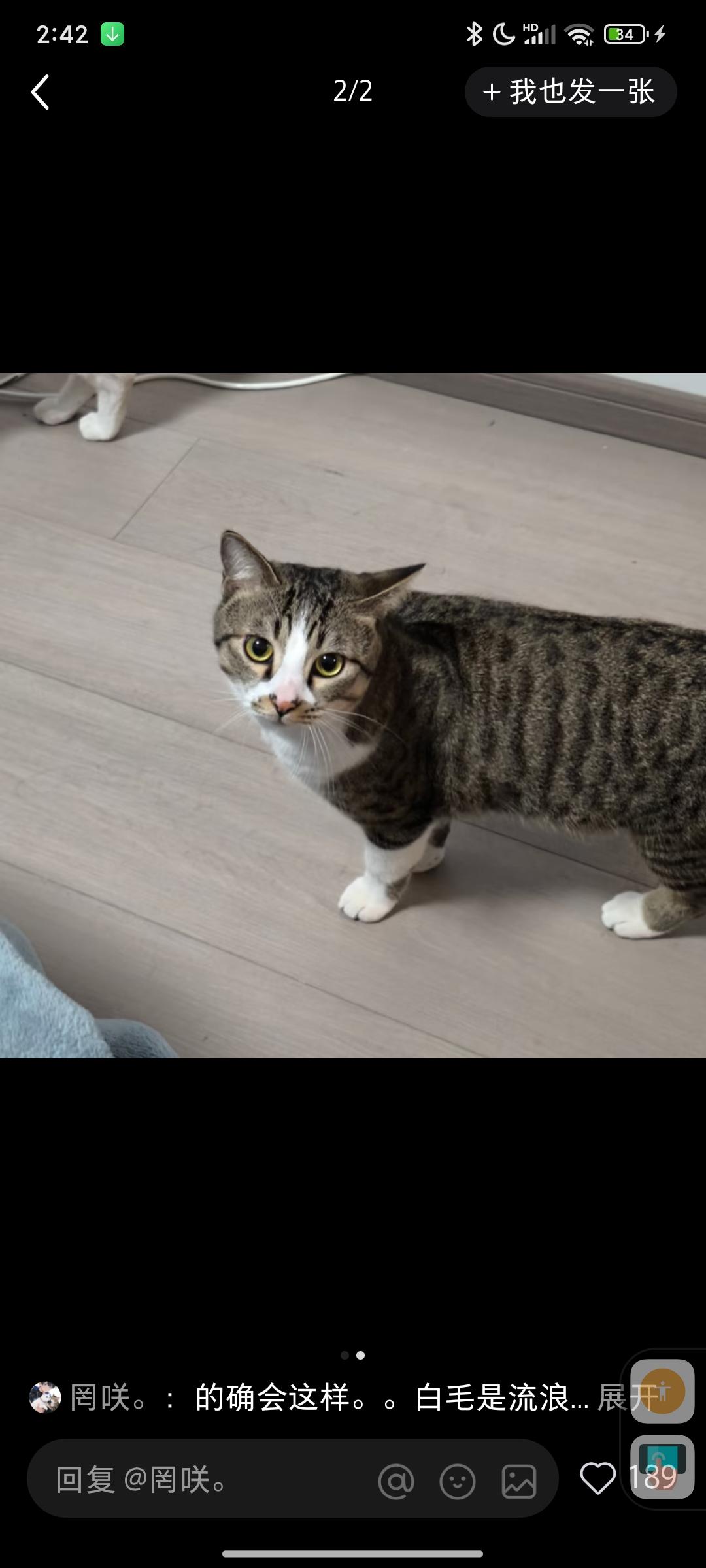 牛奶替代品的做法