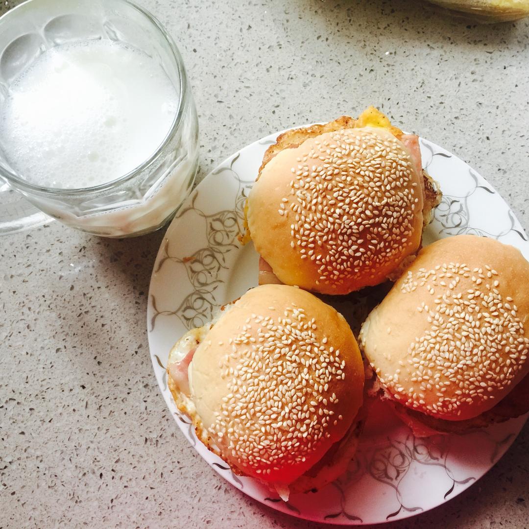 波兰种汉堡坯（餐包）