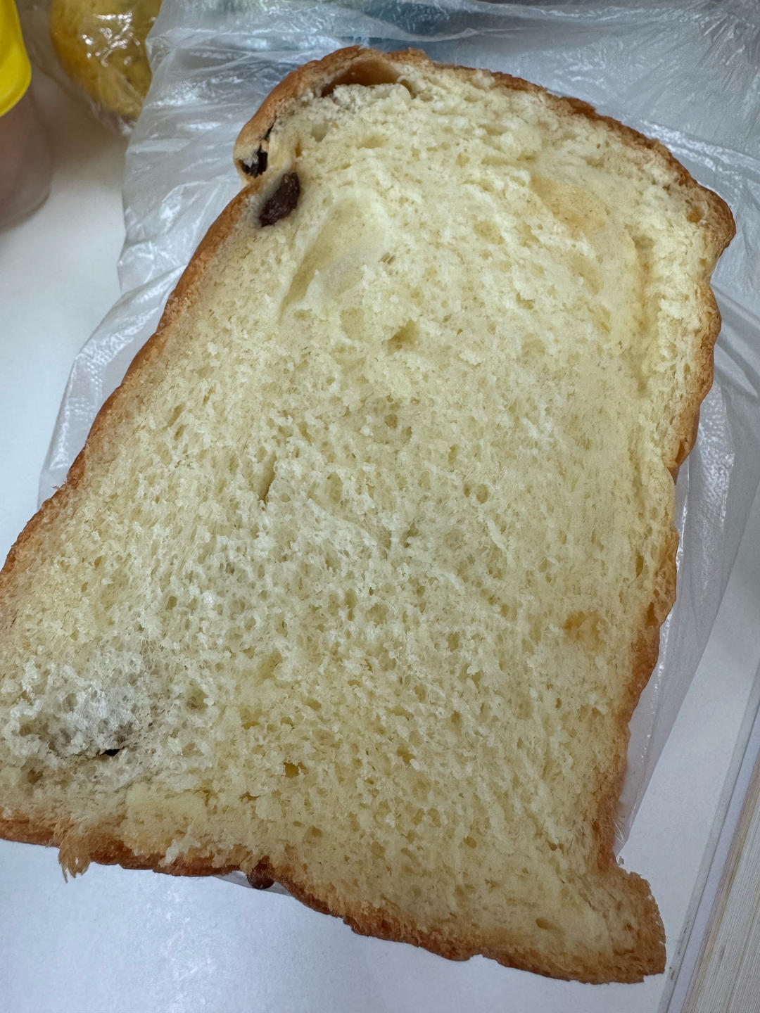 100%中种冷藏发酵