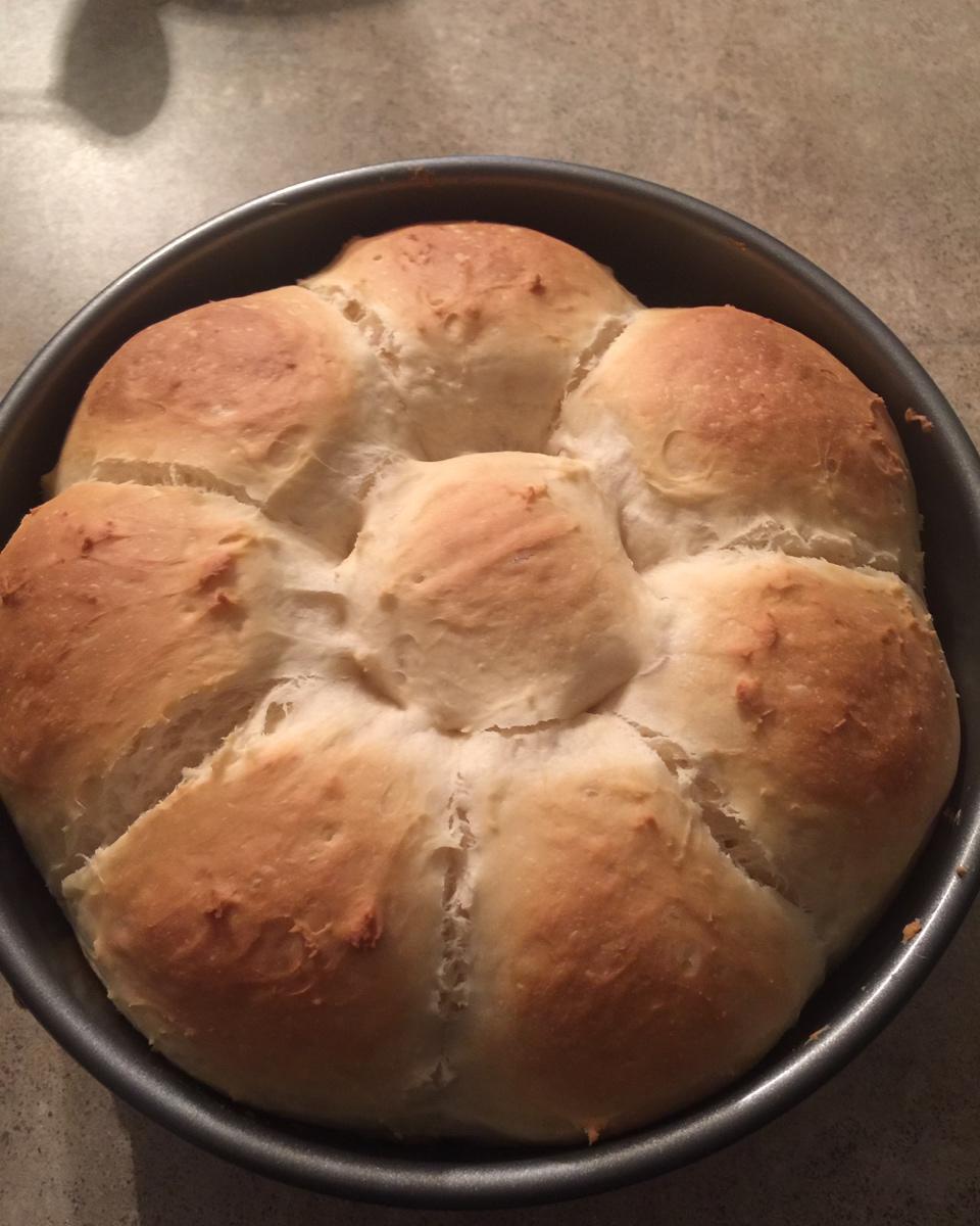 奶酪包---跟风火到一个不行的包包