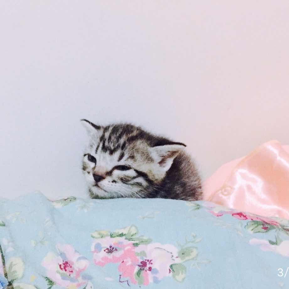 冰雹天的小冰冰