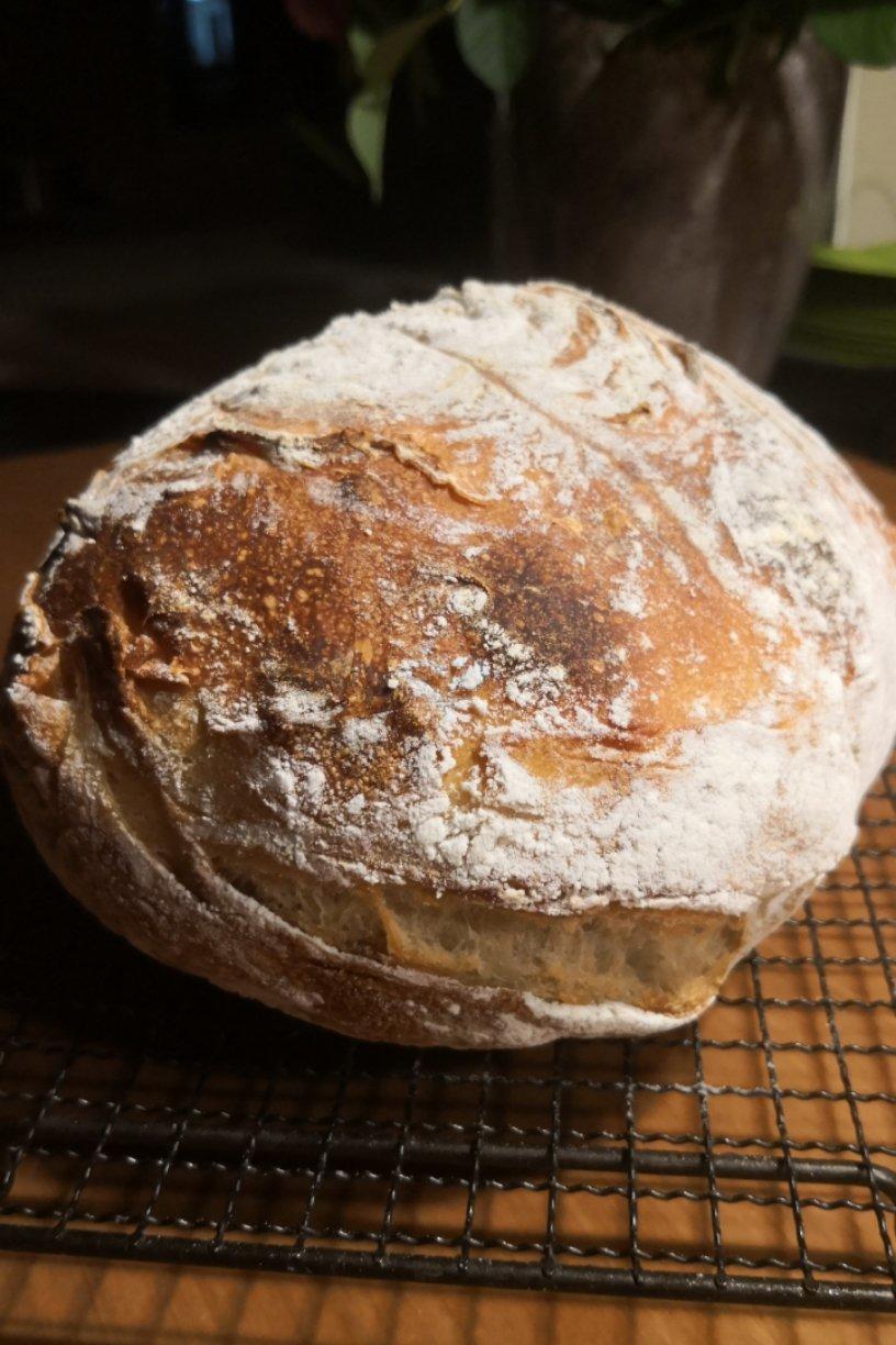 【Tartine Bread】天然酵种基础乡村欧包