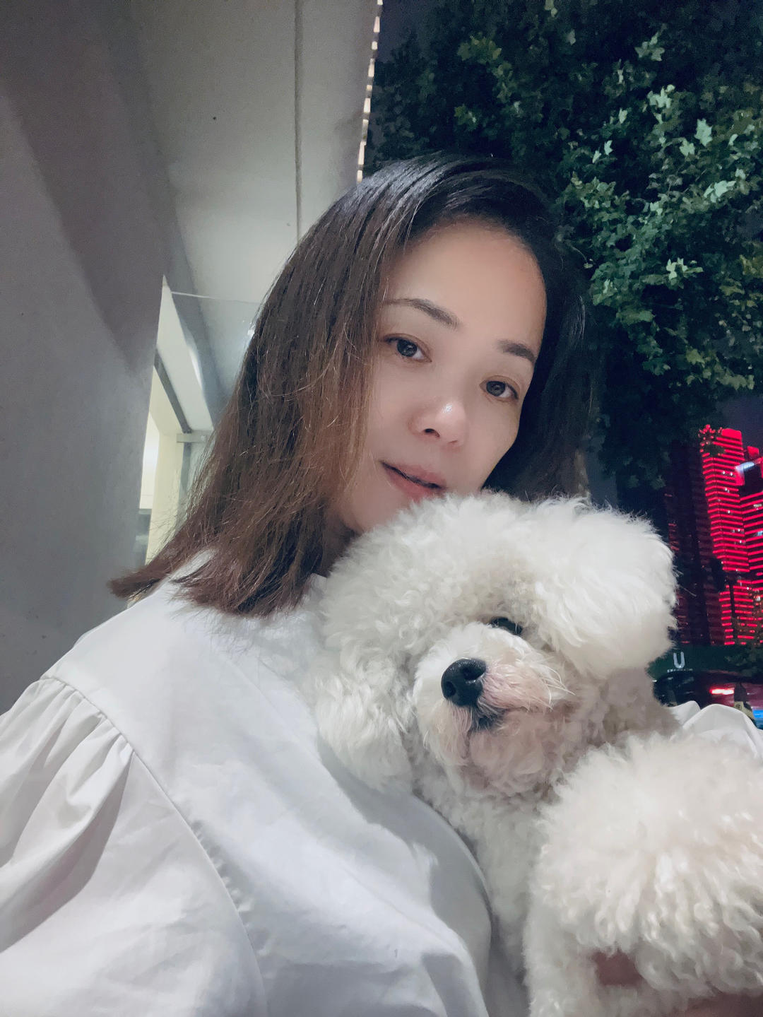 蔡抒言