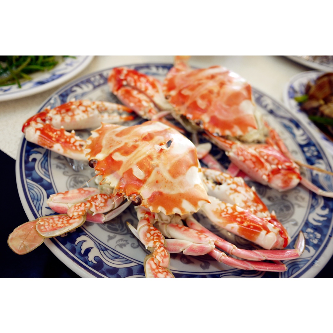 美食@旅行