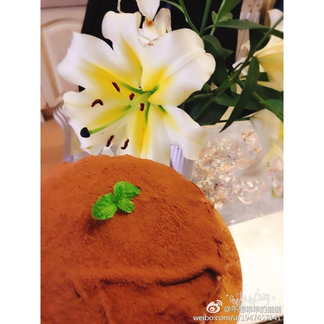 醇正巧克力千层