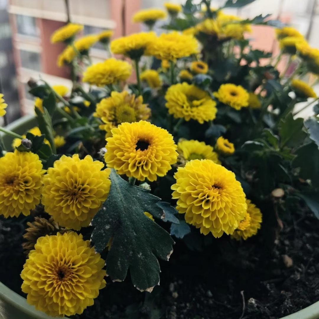 爱上吃饭的宝宝