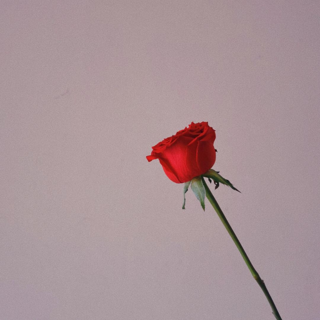 花子花花