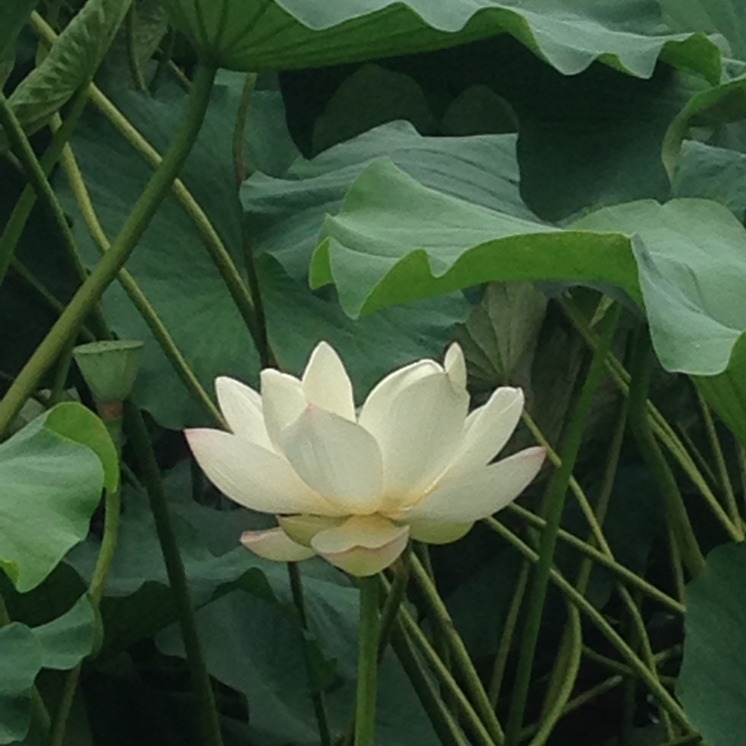 手机用户3913_u8m3