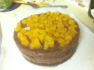黄桃巧克力慕斯蛋糕的做法 步骤9